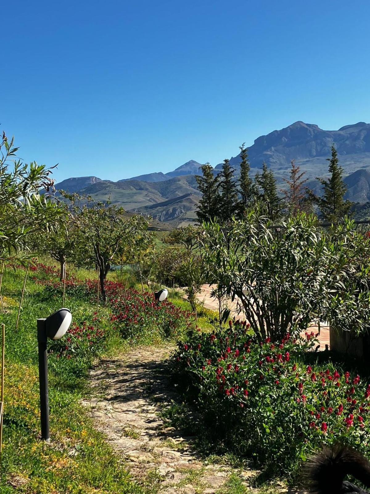 Le Case Di Cardellino - Agrispa Sclafani Dış mekan fotoğraf