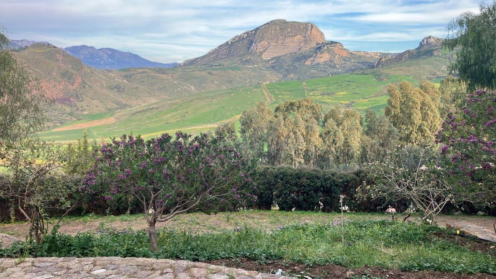 Le Case Di Cardellino - Agrispa Sclafani Dış mekan fotoğraf
